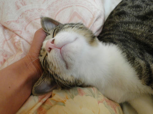 うっとり