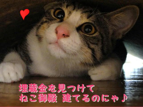 埋蔵金で猫御殿にゃ!