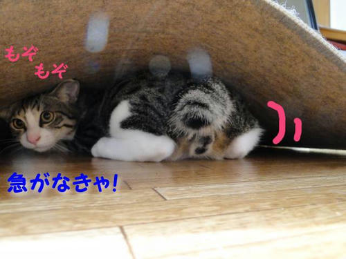 急がなきゃ!