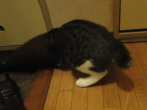 もぞもぞ