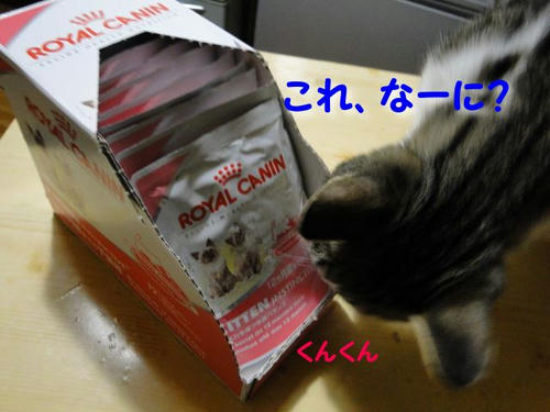 興味津津