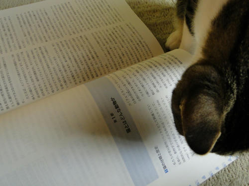 猫とは・・・