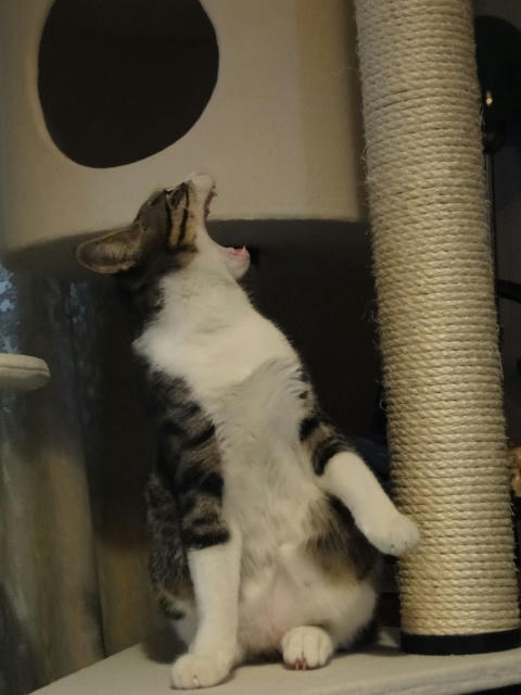 ふぁ~~~~