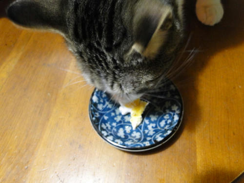 少なっ!!