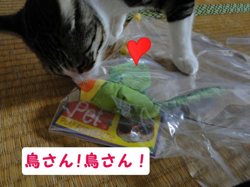 早く遊びたいにゃ