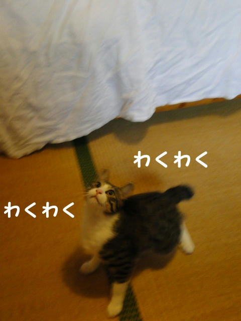 鳥さんと準備中