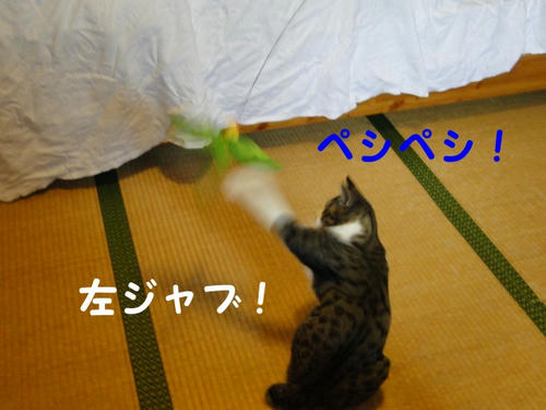 左ジャブ