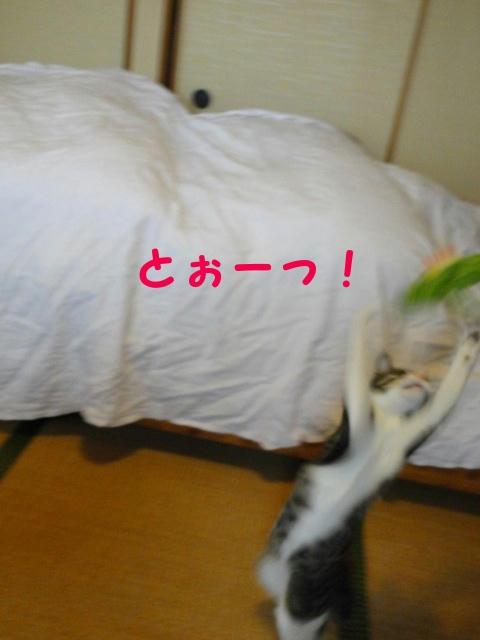 とぉ~