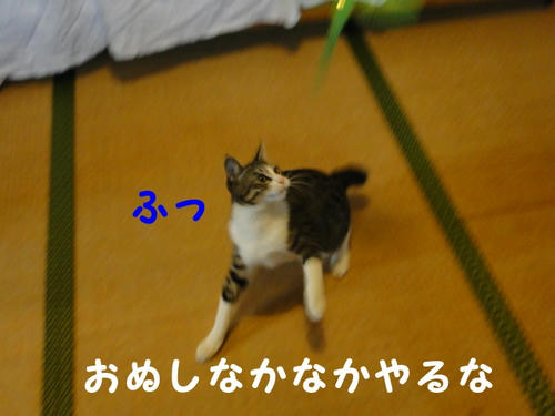 逃げ足の速い奴め
