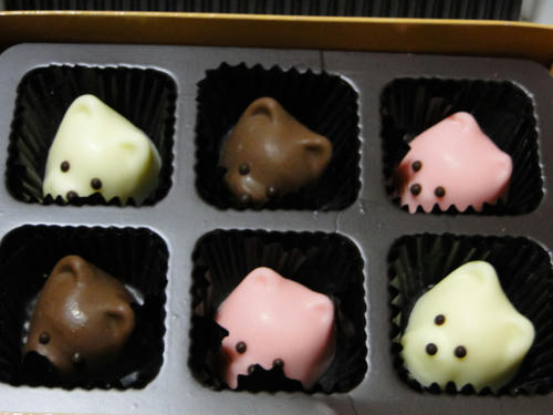 犬猫チョコ2