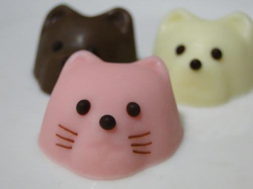 犬猫チョコアップ