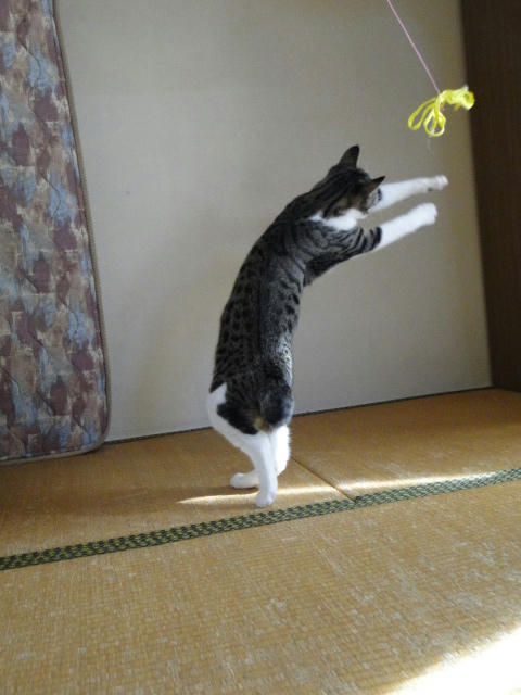 びよーん