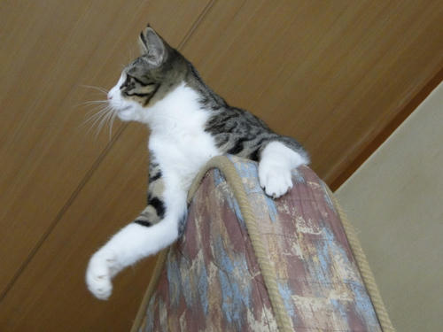 狙いを定めて