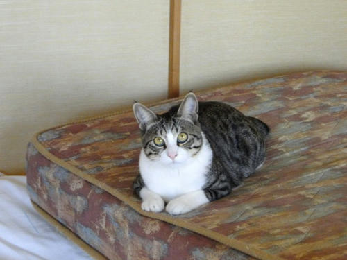 なんかおかしくない?