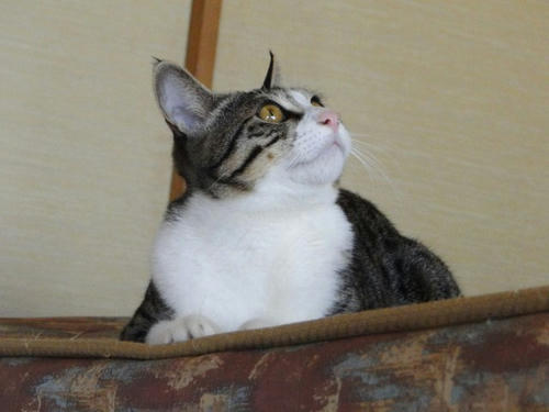 上にいたはずなのに