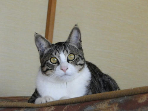 なんでだろう?