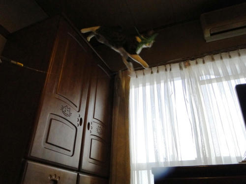 ジャンプ