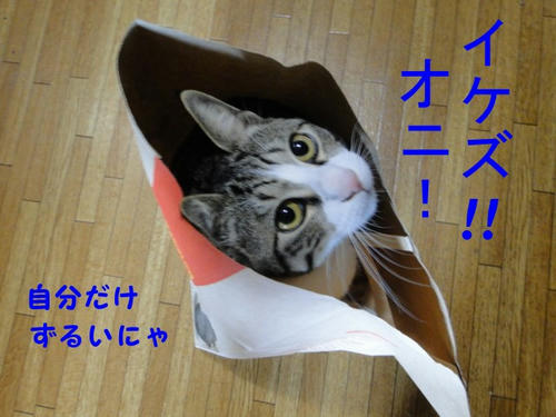 自分だけずるい!