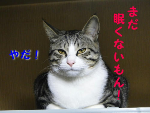 夜更かし