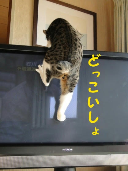 どっこいしょ
