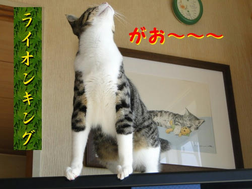 ラインキング~!!
