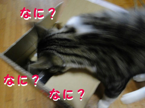 到着直後