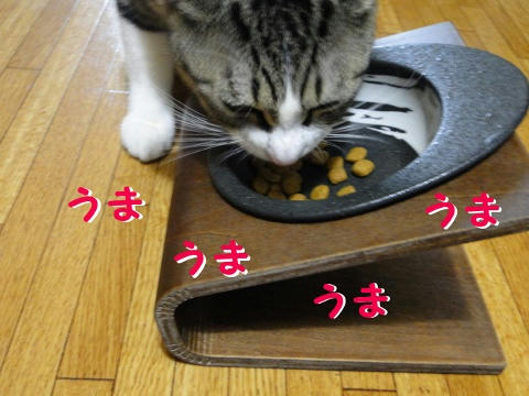 うまうま
