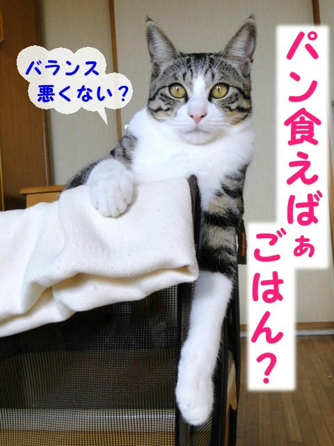 パン食えば、ご飯?