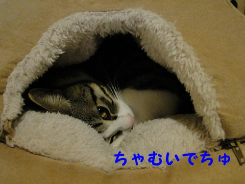 寒いです~