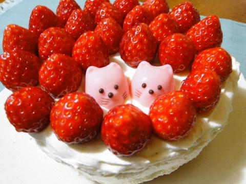 ケーキ