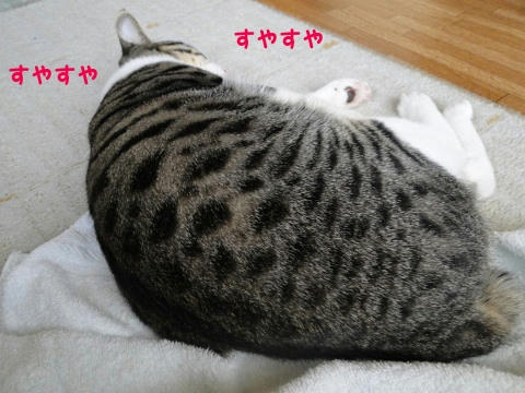 Zzz...