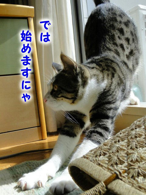 では、始めましょうか♪