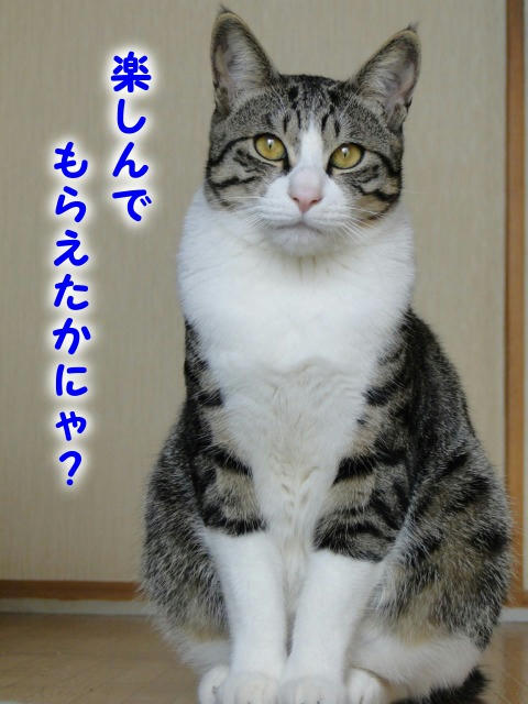 ボクのおしり、楽しんでもらえましたか?