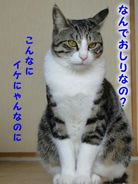 でも、なんでおしりなの?