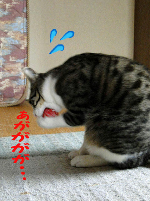 あががががが・・・