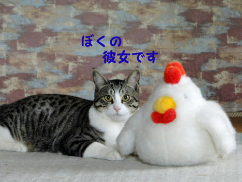 ボクの彼女です