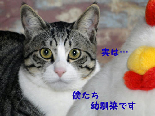 この子は幼なじみです