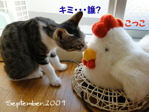 初めての会話