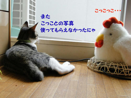 また写真使って貰えなかった
