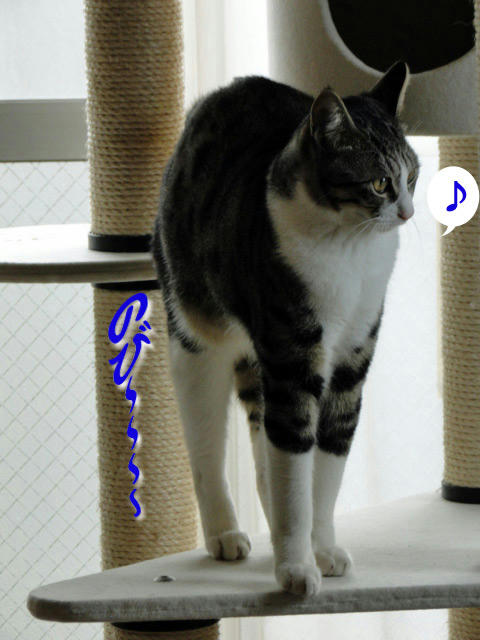 伸び~~