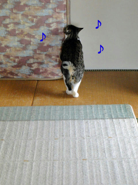 るんるん♪