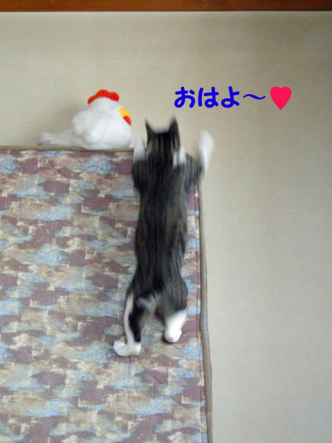 おはよー♪