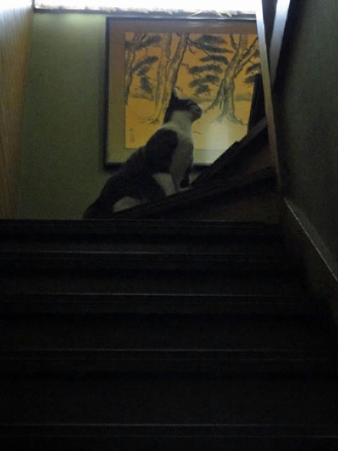 あれ?上にもお部屋が・・・
