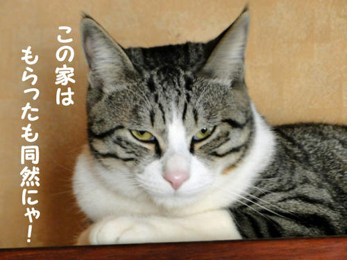 小悪魔降臨