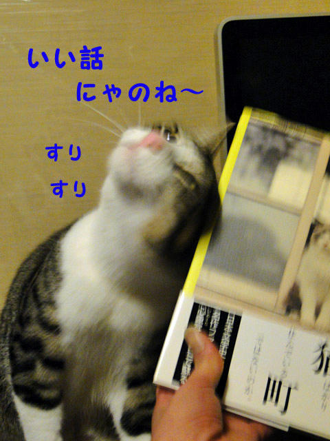 いい話だね~^^