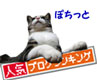 人気ブログランキング（猫）