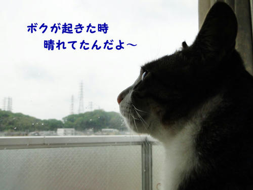 起きた時は晴れてたのに