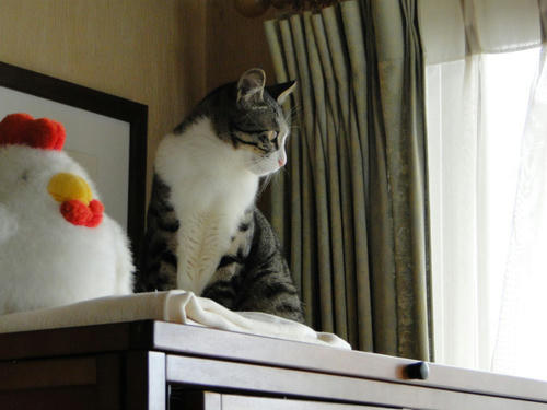 るん♪