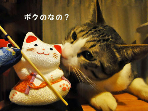 ボク用のお人形?