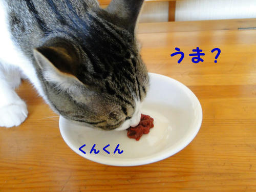 うま?